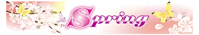 sp-0031