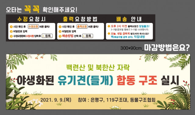은평구청_정연희님_0907