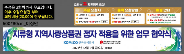 한국시각장애인연합회_김민지님_1129