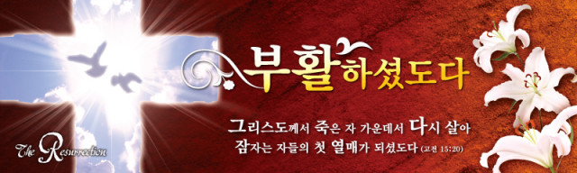 ch03-0219