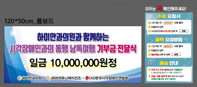 한국시각장애인연합회_0411