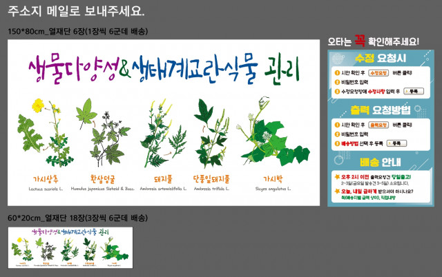 서울하천네트워크_김은령님_0511
