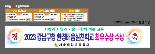 서울대왕초등학교_0201