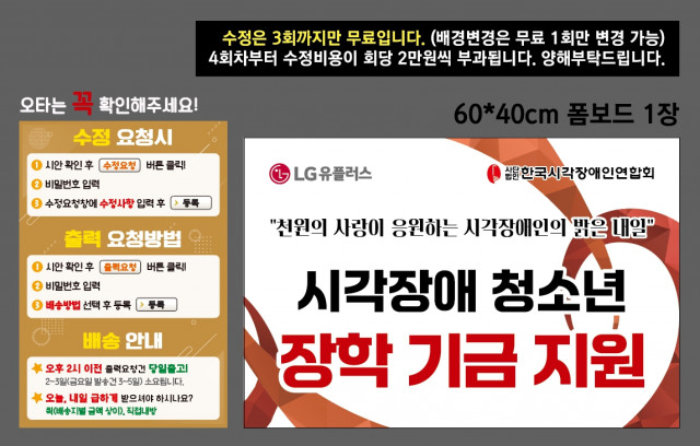 한국시각장애인연합회 0204