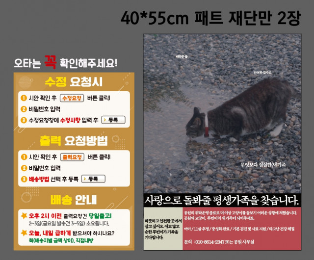 어세스타_윤수진님 0306