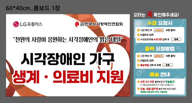 한국시각장애인연합회_0430