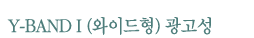 y-band-I-wide_01.gif