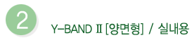 y-band-II-wide.gif