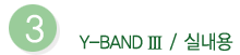 y-band-III.gif